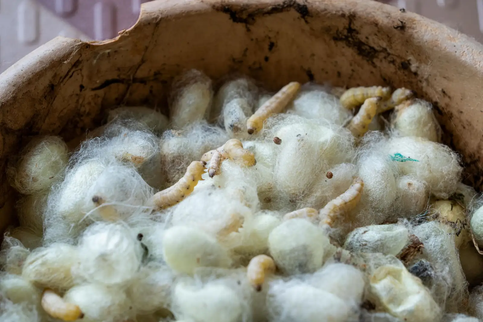 武汉企业微服务治理方案：负载均衡与熔断降级软件协同应用解析