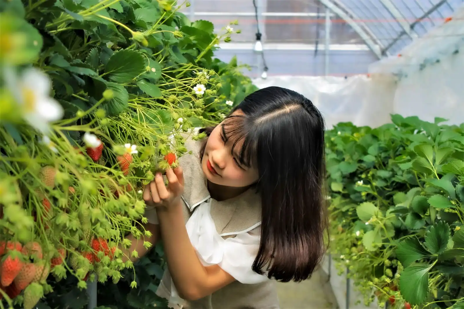 API管理软件光盘与接口网关的协同部署要点分析